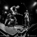 03_kury1600_02
